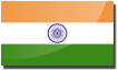 Business Visa to India
